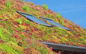 Wilderspool living roof systems